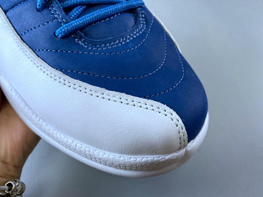 Air Jordan 12 130690-404